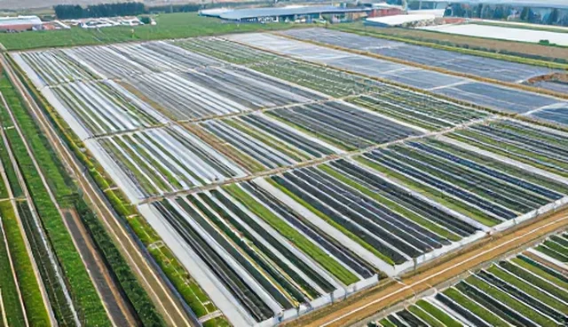 数据采集分析选型中的核心考量维度解析